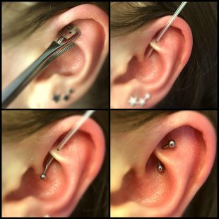 Sam ear rook