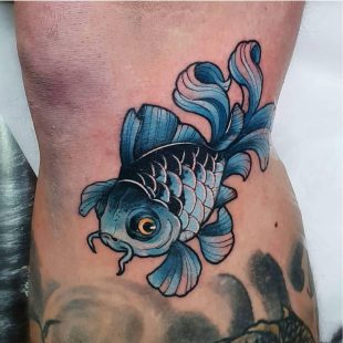 Steven blue fish